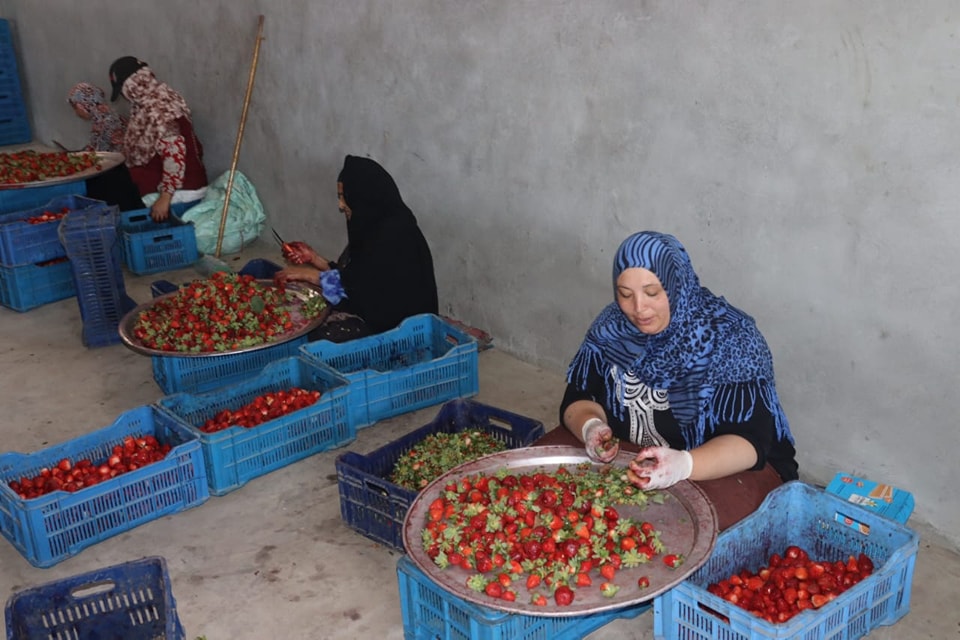 499413803_1175113701327965_5963342537681897435_n