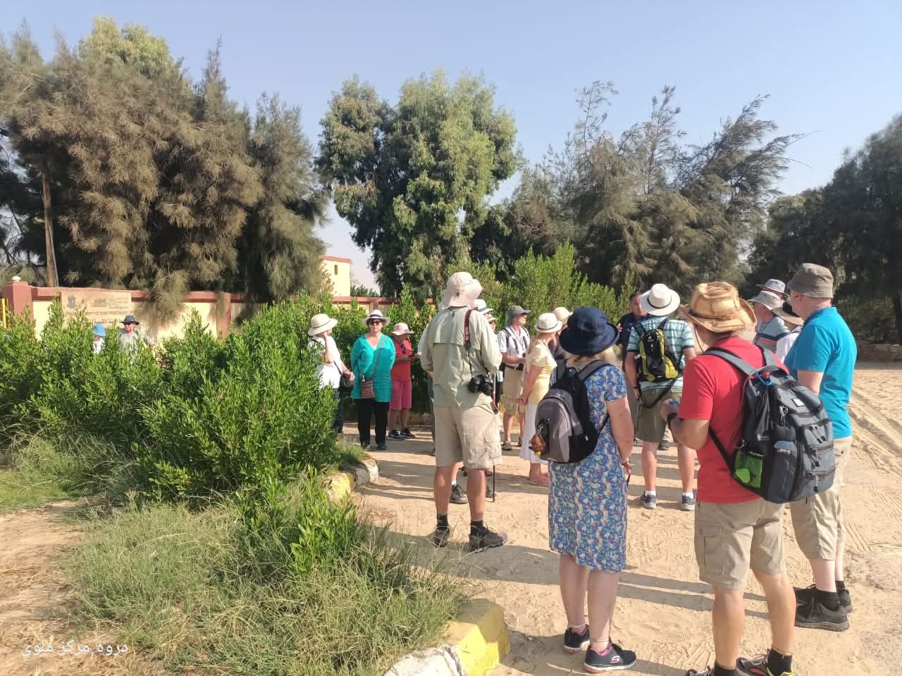 FB_IMG_1758787851054