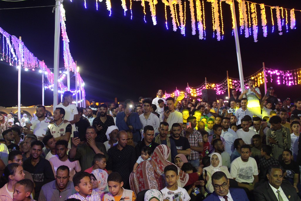 جانب من حفل العيد القومي للوادي الجديد (3)