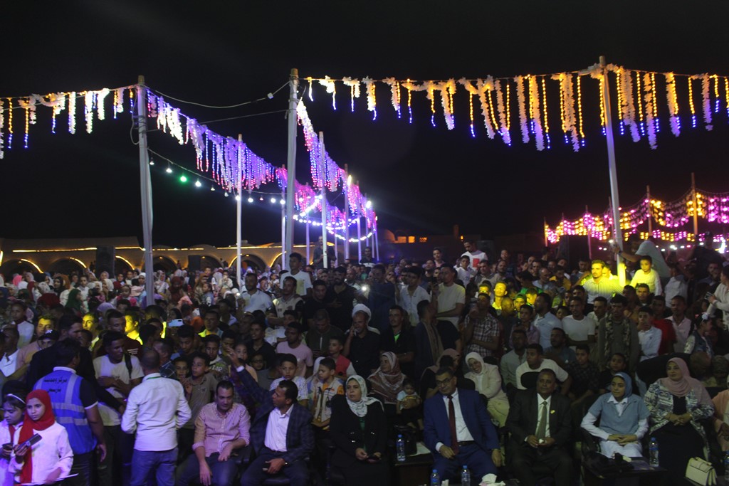 جانب من حفل العيد القومي للوادي الجديد (7)