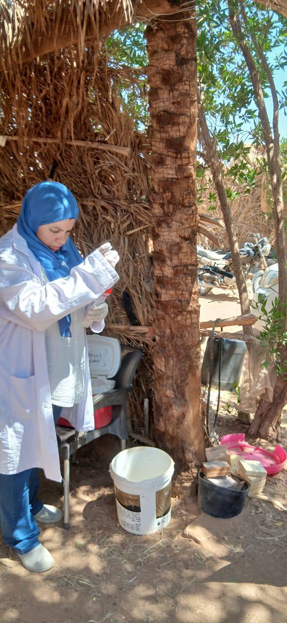 حملات الطب البيطري بالوادي الجديد  (1)