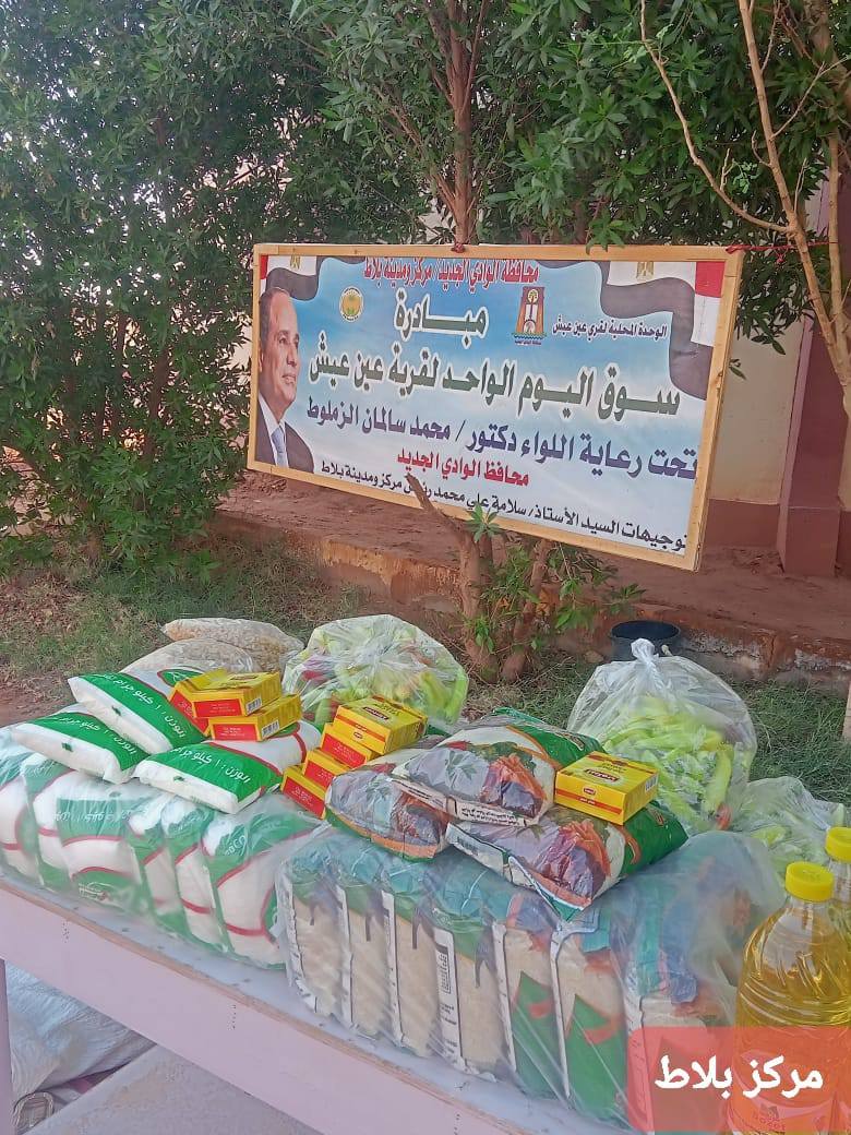 مشروعات خدمي وتنموية بمراكز الوادي الجديد الإدارية (6)