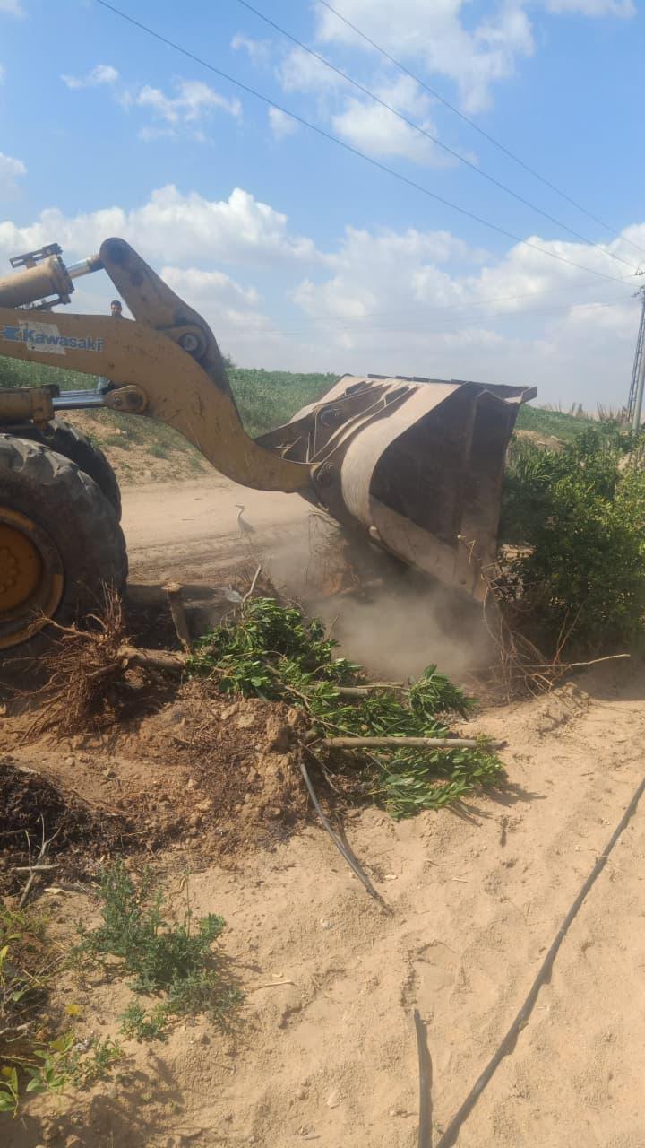 WhatsApp Image 2026-03-18 at 3.56.18 PM (1)