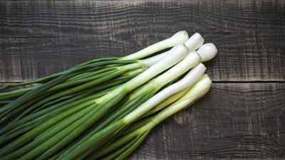 txt