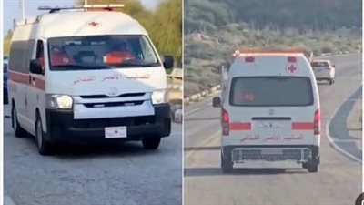txt